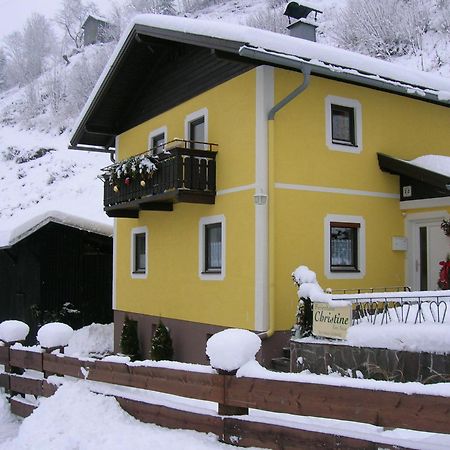 Ferienhaus Christine Taxenbach Ngoại thất bức ảnh